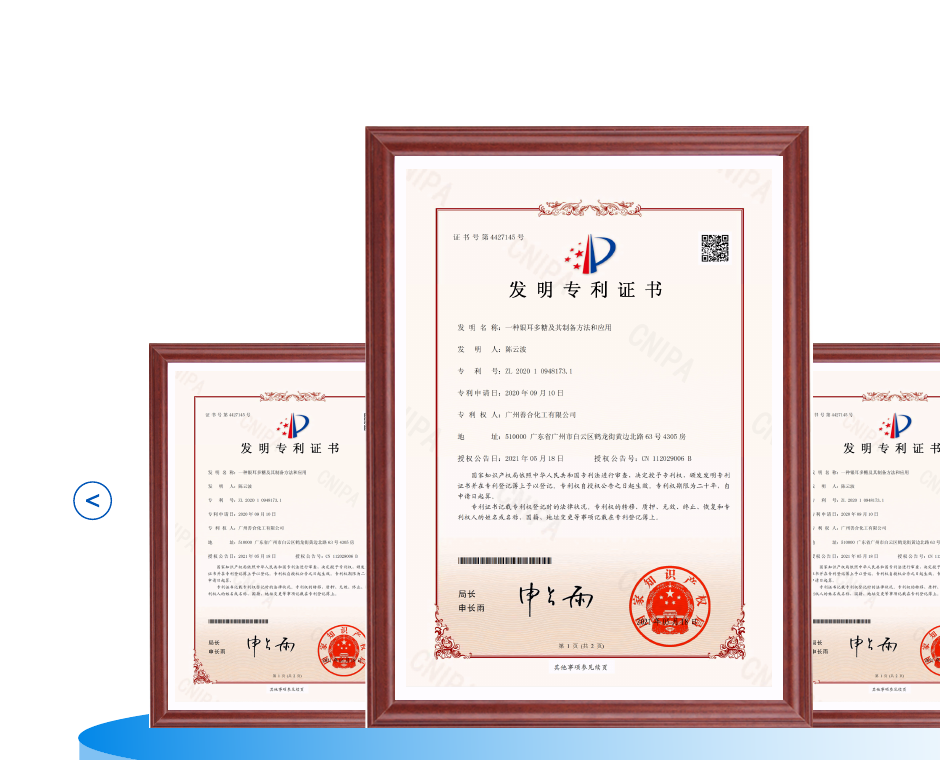 麦谷云智数星河发明专利证书